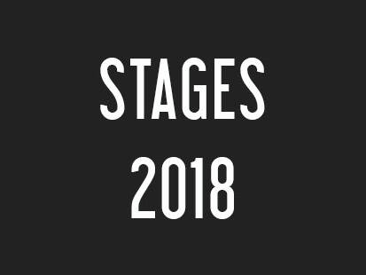Stages de gravure, estampe japonaise, Lausanne Suisse 2018