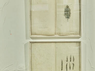 estampes - Marie Claude Gardel 2025